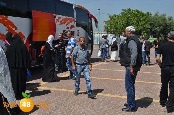 3omrashneer321 (2).JPG